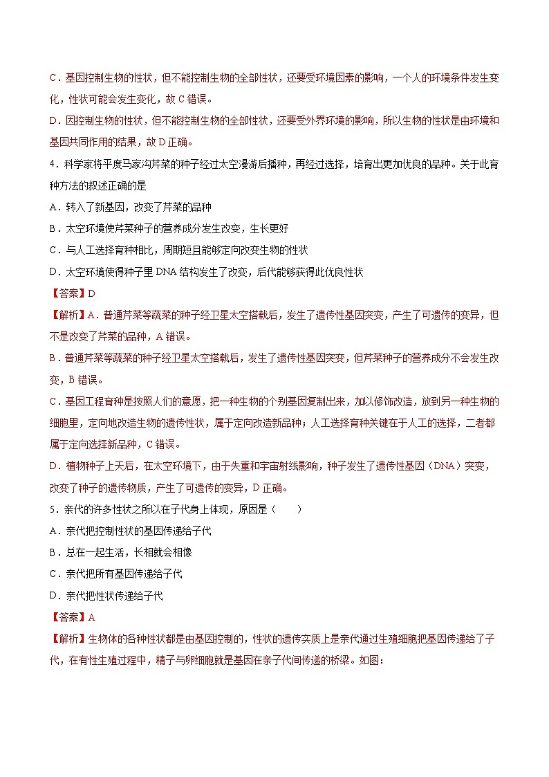 7.2.1 基因控制生物的性状 同步练习1 初中生物人教版八年级下册（2022年）02