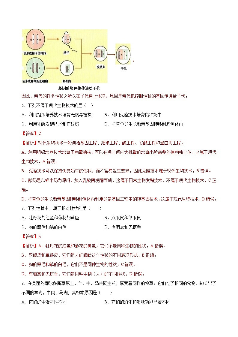 7.2.1 基因控制生物的性状 同步练习1 初中生物人教版八年级下册（2022年）03