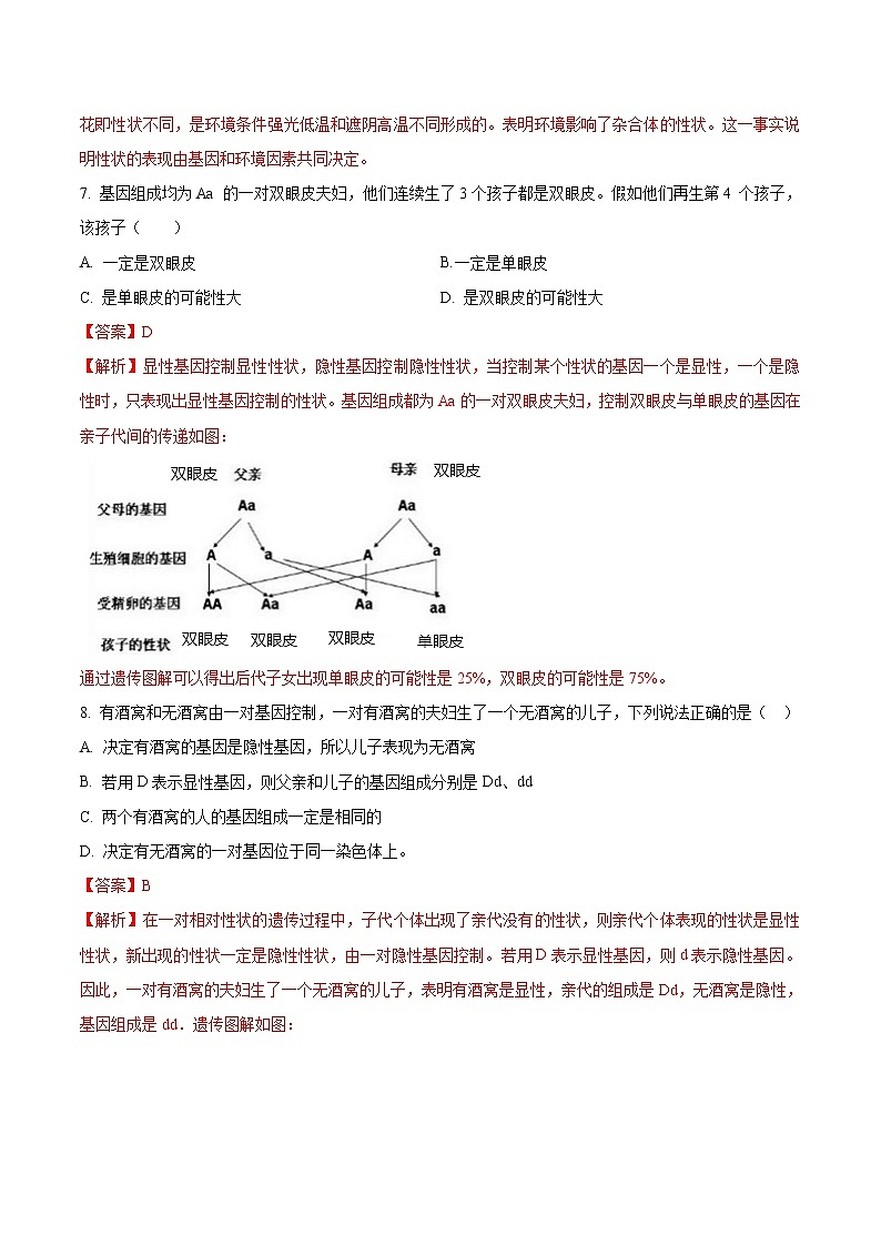 7.2.3 基因的显性和隐性 同步练习2 初中生物人教版八年级下册（2022年）03