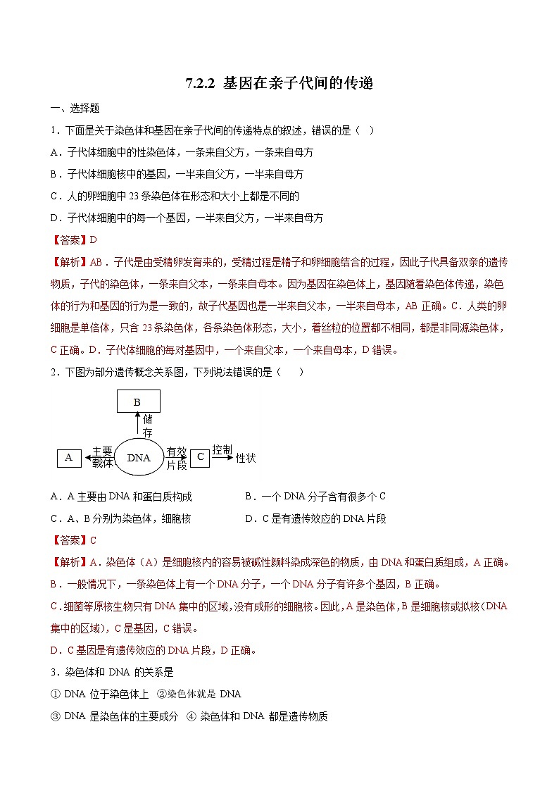 7.2.2 基因在亲子代间的传递 同步练习2 初中生物人教版八年级下册（2022年）第1页