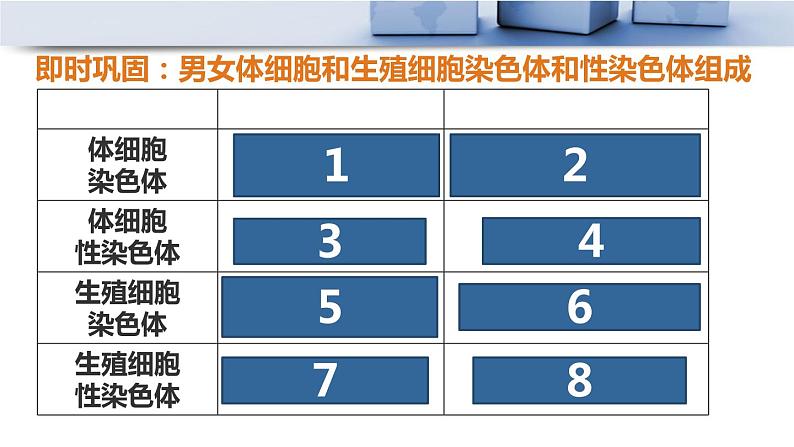 人教版八年级下册第七单元第二章第四节 人的性别遗传课件PPT第8页