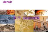 人教版八年级下册第七单元第三章第二节 生物进化的历程课件PPT