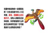 人教版八年级下册第七单元第三章第二节 生物进化的历程课件PPT