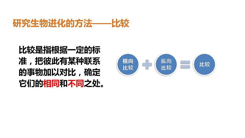 人教版八年级下册第七单元第三章第二节 生物进化的历程课件PPT04