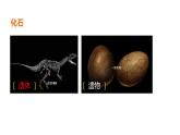人教版八年级下册第七单元第三章第二节 生物进化的历程课件PPT
