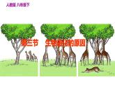 人教版八年级下册第七单元第三章第三节 生物进化的原因课件PPT
