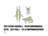 人教版八年级下册第七单元第三章第三节 生物进化的原因课件PPT