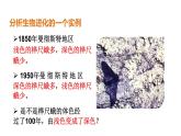 人教版八年级下册第七单元第三章第三节 生物进化的原因课件PPT