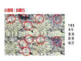 人教版八年级下册第七单元第三章第三节 生物进化的原因课件PPT