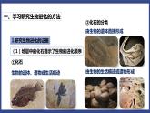 7.3.2 生物进化的历程（课件+教案+练习+导学案）