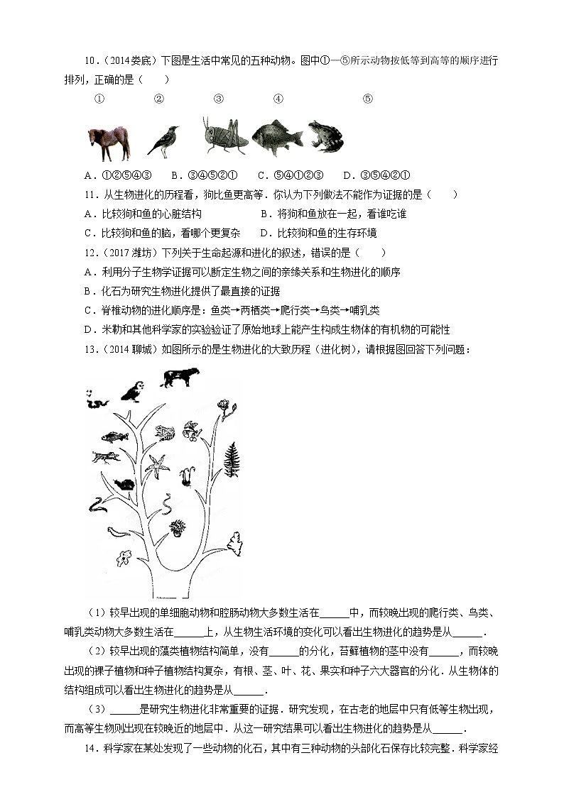 7.3.2 生物进化的历程（课件+教案+练习+导学案）02