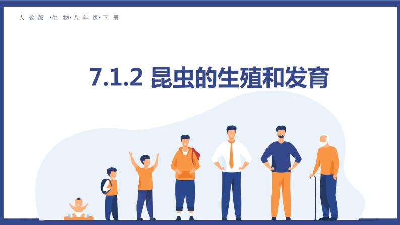 7.1.2 昆虫的生殖和发育（课件+教案+练习+导学案）01