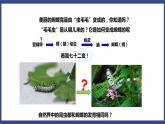 7.1.2 昆虫的生殖和发育（课件+教案+练习+导学案）