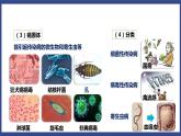 8.1.1 传染病及其预防（课件+教案+练习+导学案）