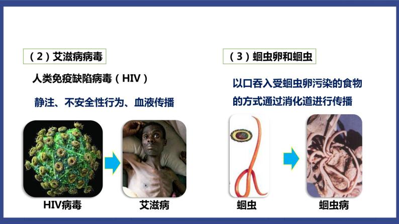 8.1.1 传染病及其预防（课件+教案+练习+导学案）07