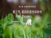 7-2-3基因的显性和隐性第2课时课件2021--2022学年人教版生物八年级下册