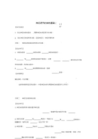 济南版七年级下册第二节 神经调节的结构基础导学案