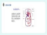 9.2血液循环（课件+教案+练习+学案）