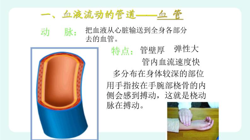 9.2血液循环（课件+教案+练习+学案）03