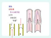 9.2血液循环（课件+教案+练习+学案）