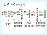 11.1人体产生的代谢废物（课件+教案+练习+学案）