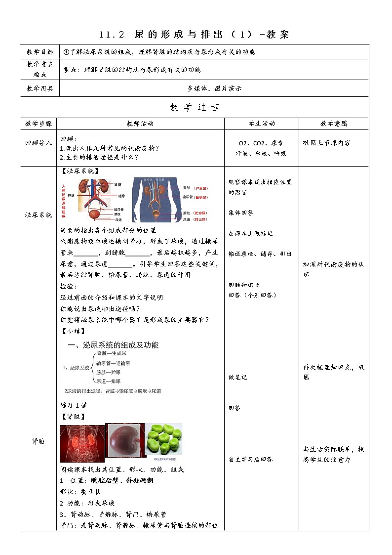 11.2 尿的形成与排出（1）（课件+教案+练习+学案）01