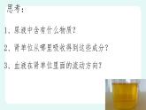 11.2 尿的形成与排出（2）（课件+教案+练习+学案）