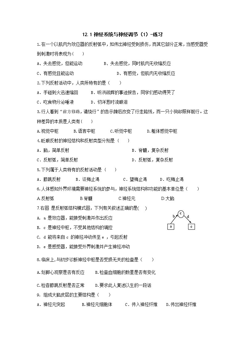 12.1神经系统与神经调节（1）-练习第1页