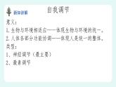 12.1神经系统与神经调节（1）（课件+教案+练习+学案）