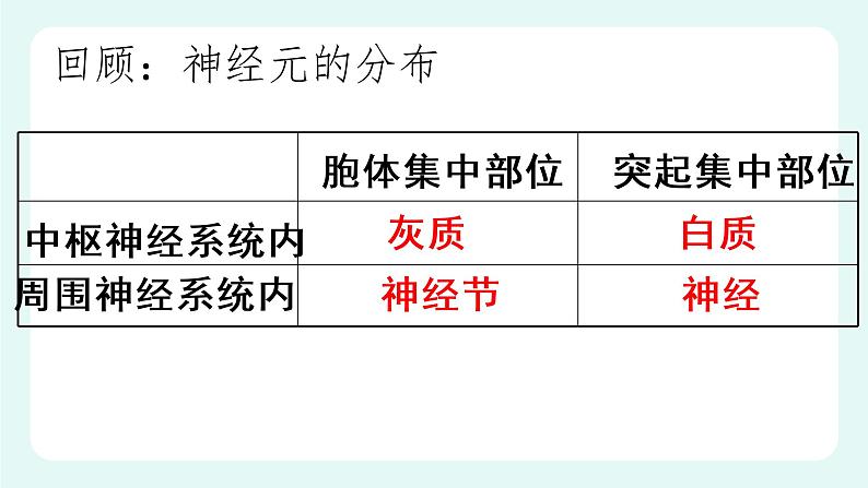 12.1神经系统与神经调节（2）（课件+教案+练习+学案）04