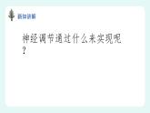 12.1神经系统与神经调节（2）（课件+教案+练习+学案）