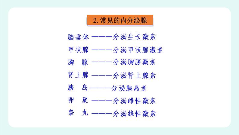 12.3激素调节（课件+教案+练习+学案）06