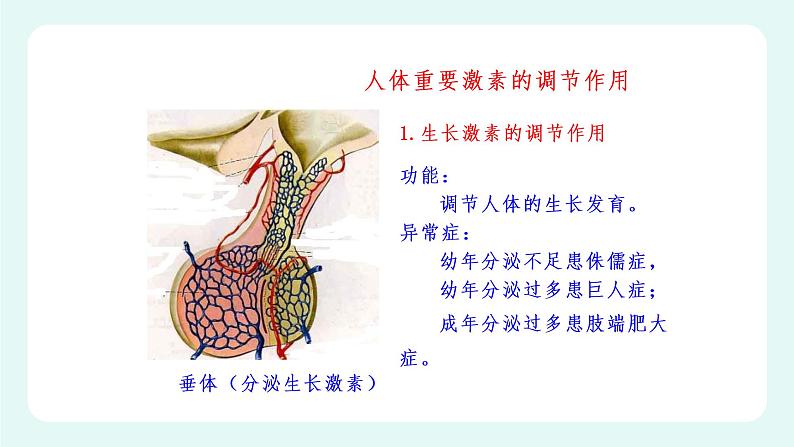 12.3激素调节（课件+教案+练习+学案）07