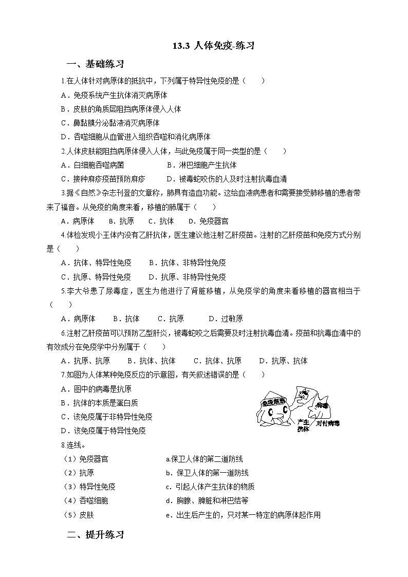 13.3 人体免疫-练习第1页