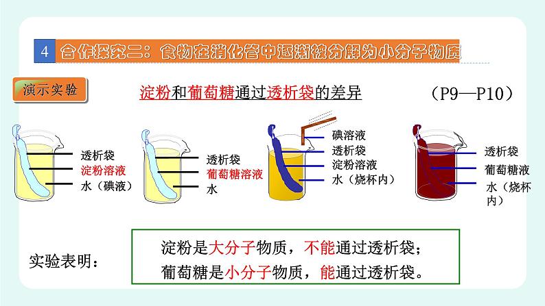 8.2食物的消化和营养物质的吸收（1）（课件+教案+练习+学案）07