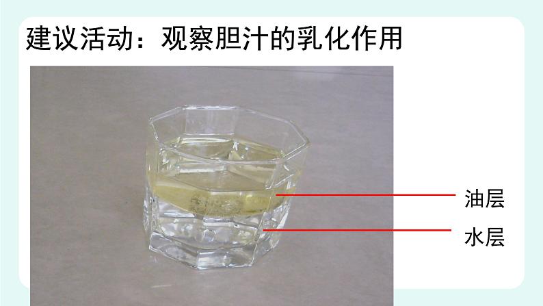 8.2食物的消化和营养物质的吸收（2）（课件+教案+练习+学案）08