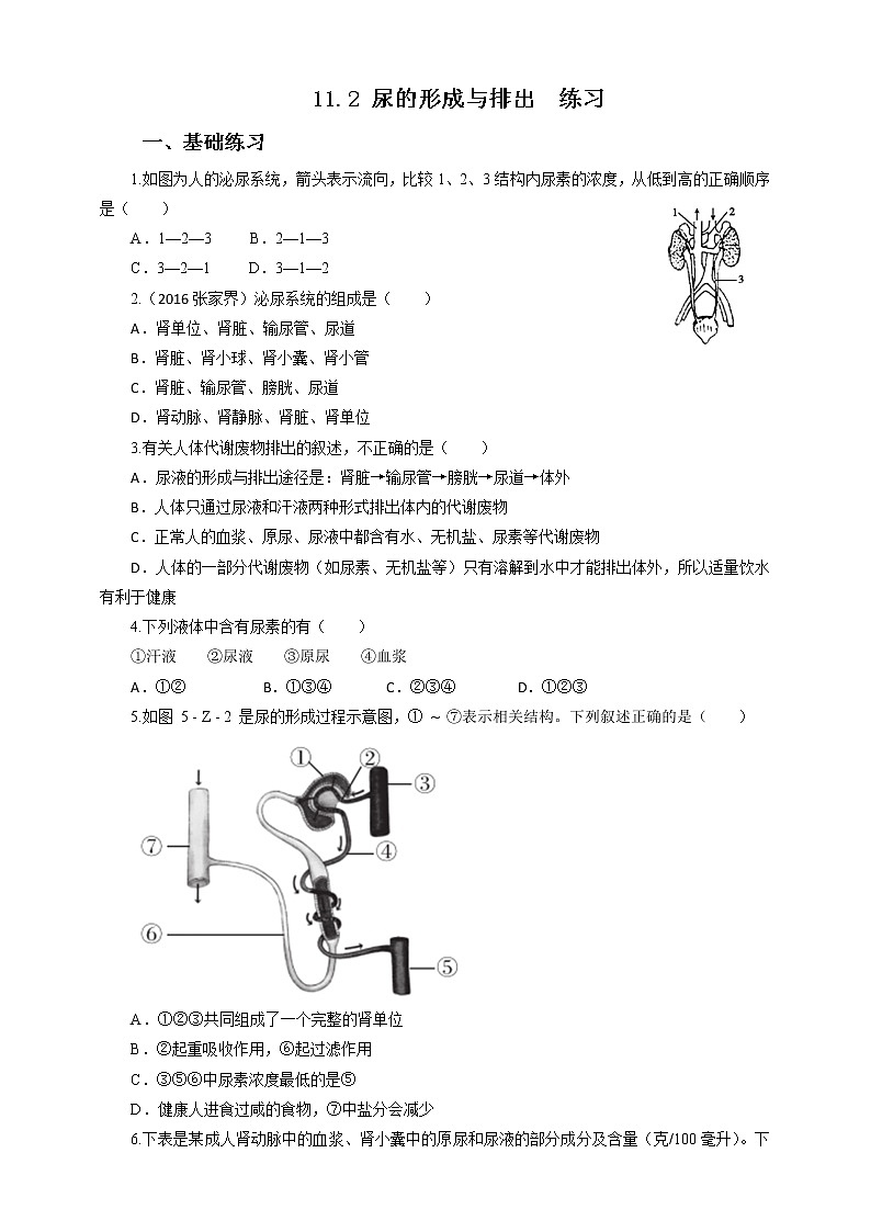 11.2 尿的形成与排出=练习第1页