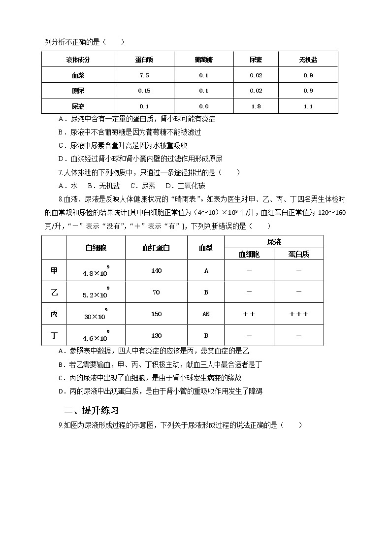 11.2 尿的形成与排出=练习第2页
