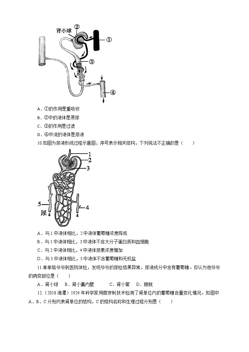 11.2 尿的形成与排出=练习第3页