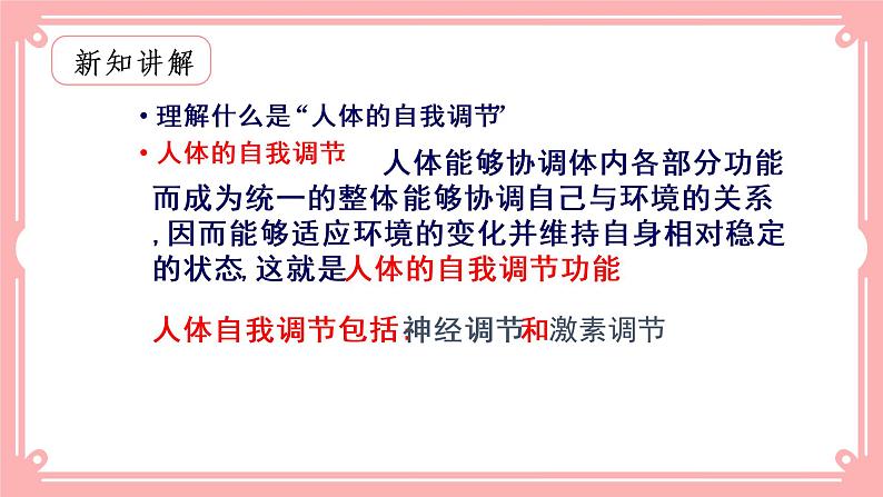 12.1神经系统与神经调节（课件+教案+练习+学案）02