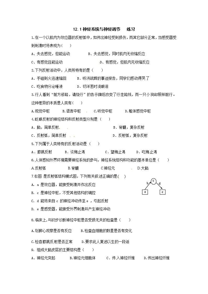 12.1神经系统与神经调节（课件+教案+练习+学案）01