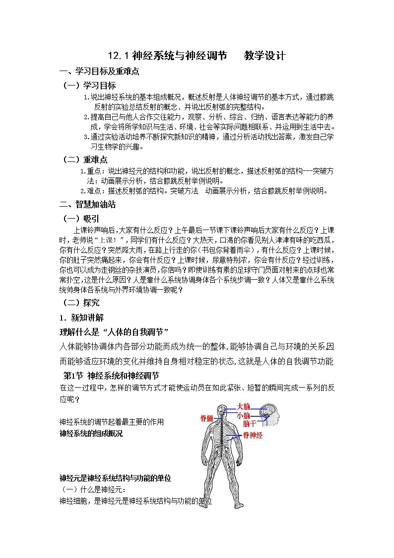 12.1神经系统与神经调节（课件+教案+练习+学案）01