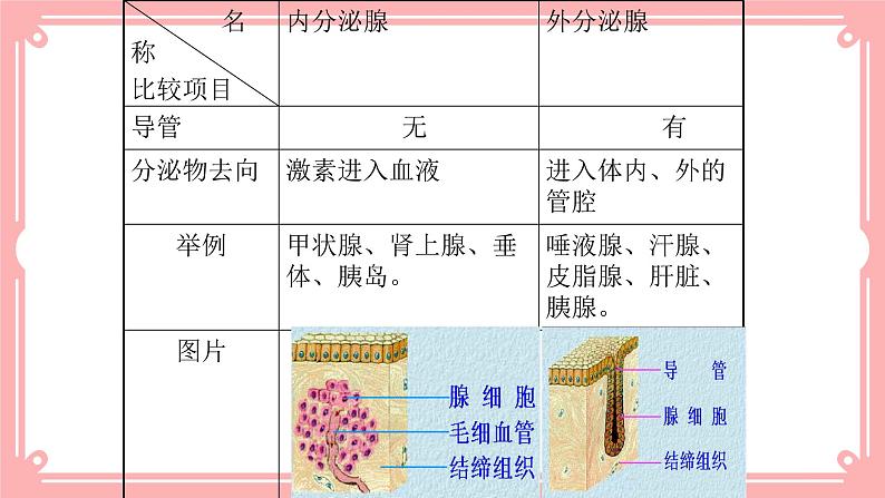 12.3激素调节（课件+教案+练习+学案）06