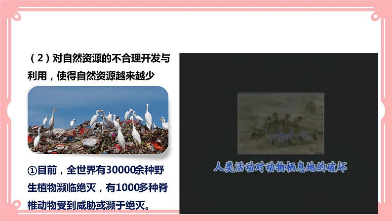 14.2 保护生物圈是全人类的共同义务（课件+教案+练习+学案）07