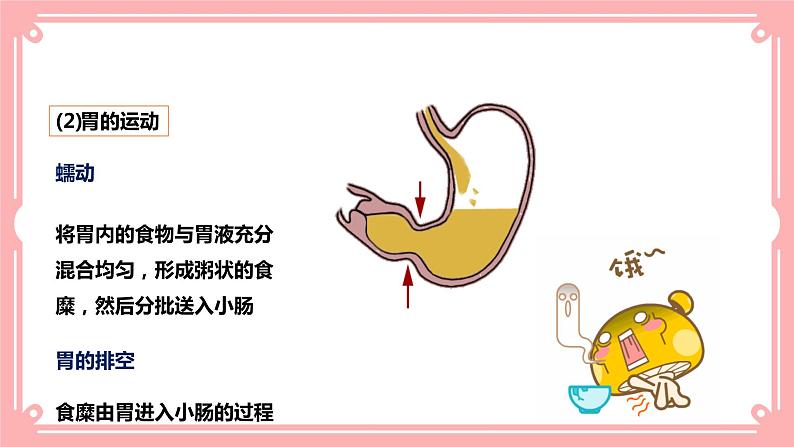 8.2食物的消化和营养物质的吸收（2）=课件第6页