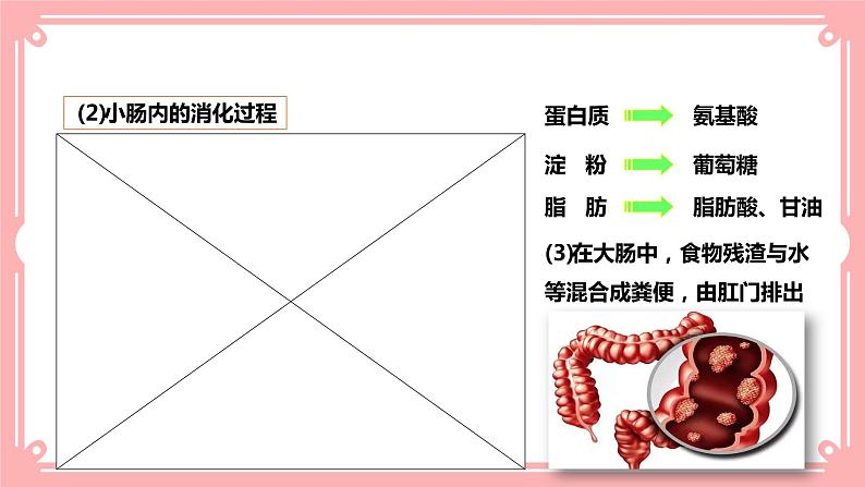 8.2食物的消化和营养物质的吸收（2）=课件第8页