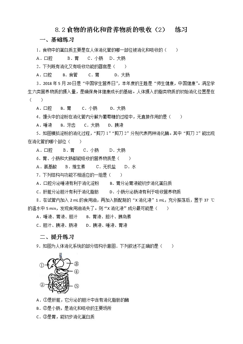 8.2食物的消化和营养物质的吸收（2）=练习第1页