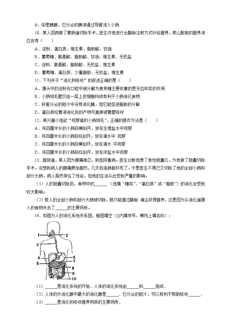 8.2食物的消化和营养物质的吸收（2）=练习第2页
