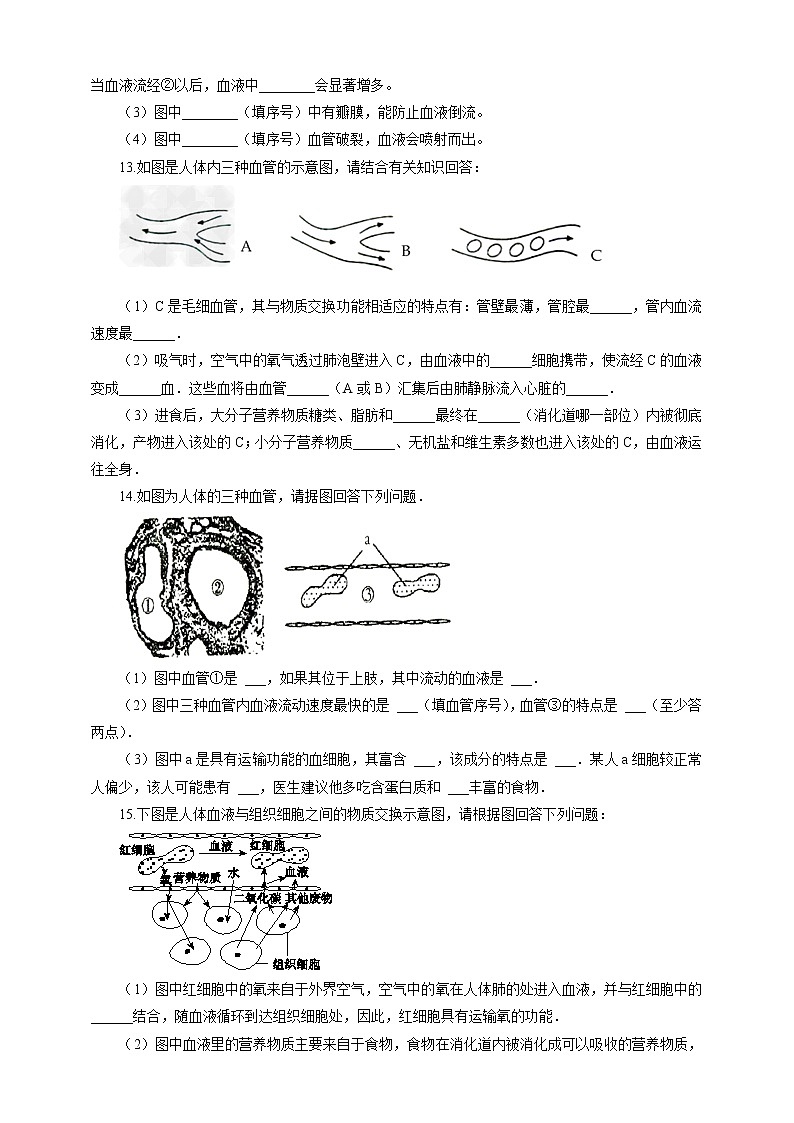 9.2血液循环（1）（课件+教案+练习+学案）03