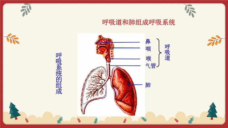 10.2人体细胞获得氧气的过程（1）（课件+教学设计+练习+学案）03